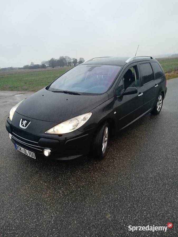 Peugeot 307sw Climatronik Ben 20 Piotrków Trybunalski