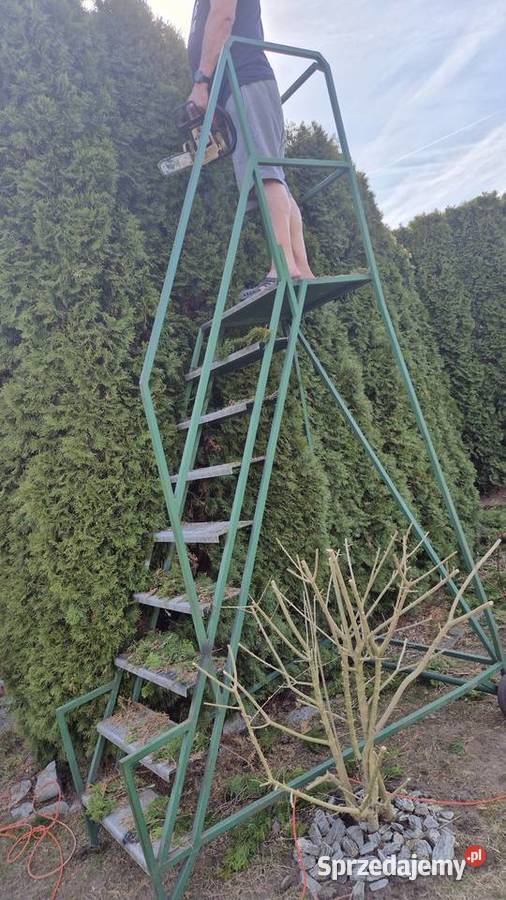 Drabina pomost pielęgnacja ogrodu Białystok