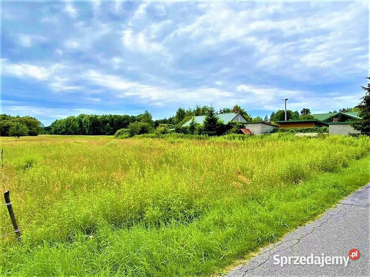 Działka budowlanorolna 11 800 m2 m2 w gm