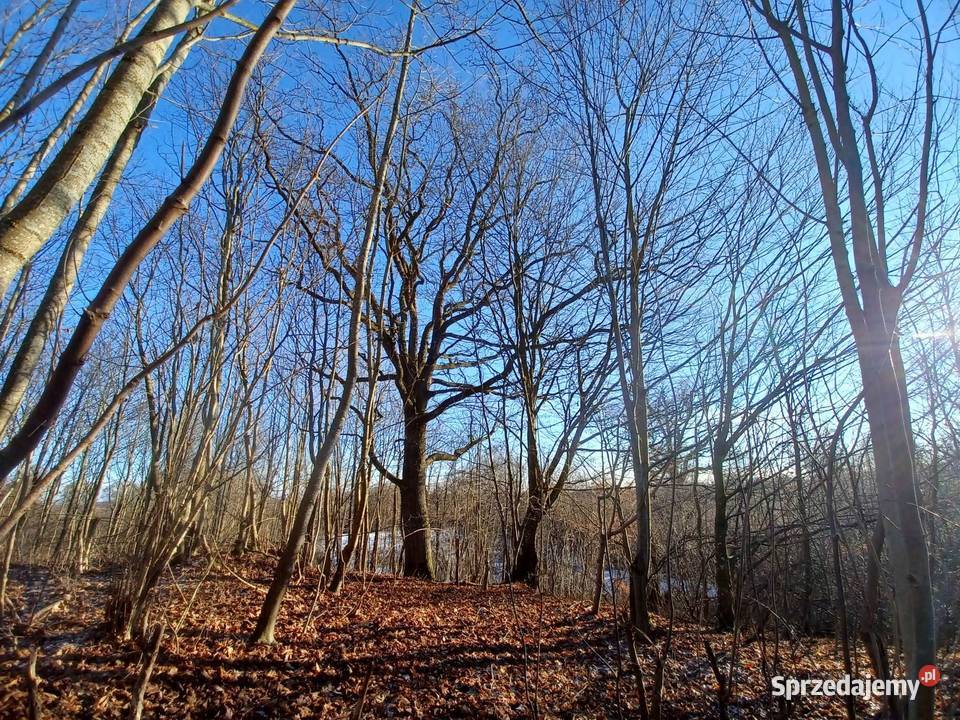 Działka z własnym jeziorem zachodniopomorskie Krągłe