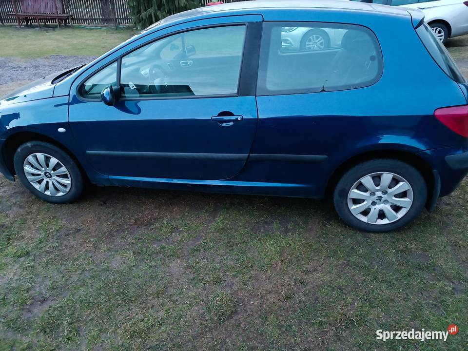 Peugeot 307 2003 16 LPG pierwszy właściciel elektryczne lusterka Siedlec Duży sprzedam