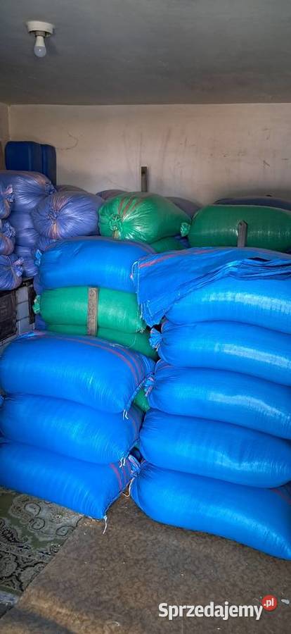 Jęczmień jary ościsty Gorenice