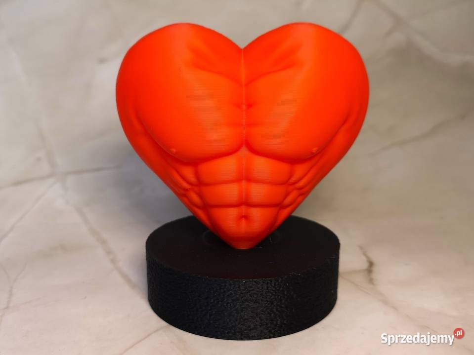 Rzeźba 3D Serce Siły anatomiczne serce z motywem Kielce sprzedam