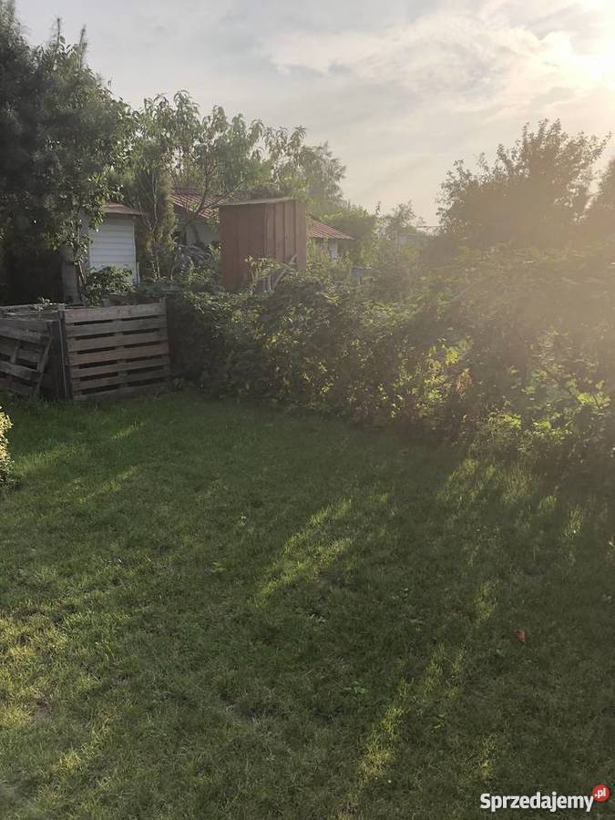 Ogródek działkowy Żory