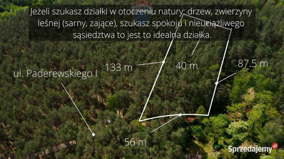 Działka leśna z możliwością zabudowy w MPZP Rynia