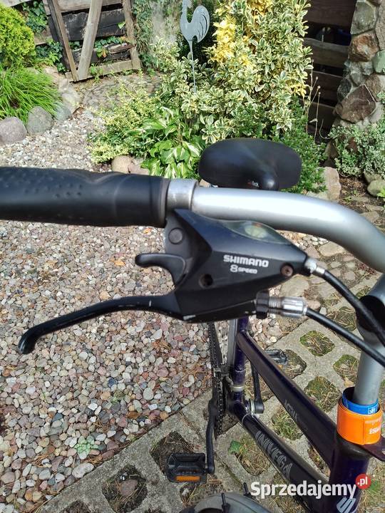 Rower Activa Country Univega Tanowo