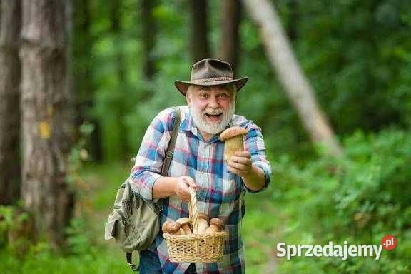 Działka leśnorolna 1400m2 Wola Stróska