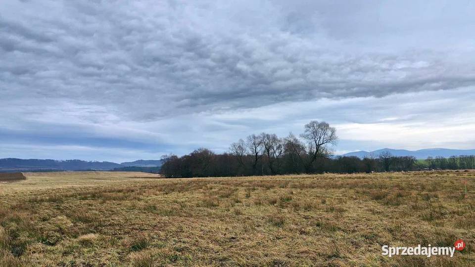 Działka na sprzedaż Gorzanów Dolnośląskie 1650m2