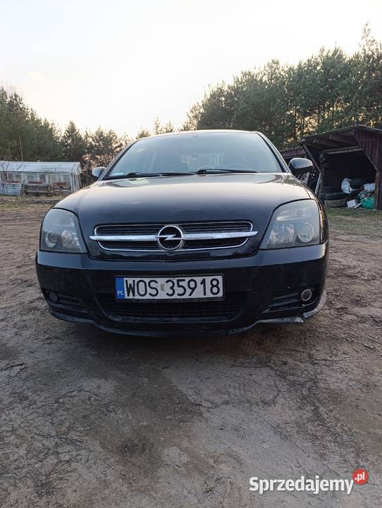 Opel vectra c 22 dti gts 2004r 125