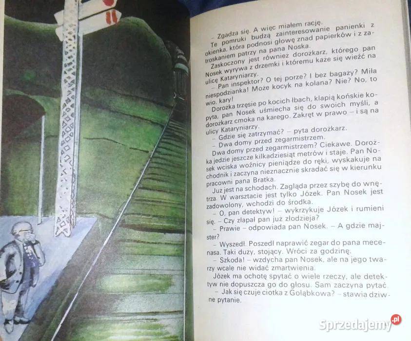 Detektyw Nosek Czarna Broda i porywacze Marian lubelskie Chełm