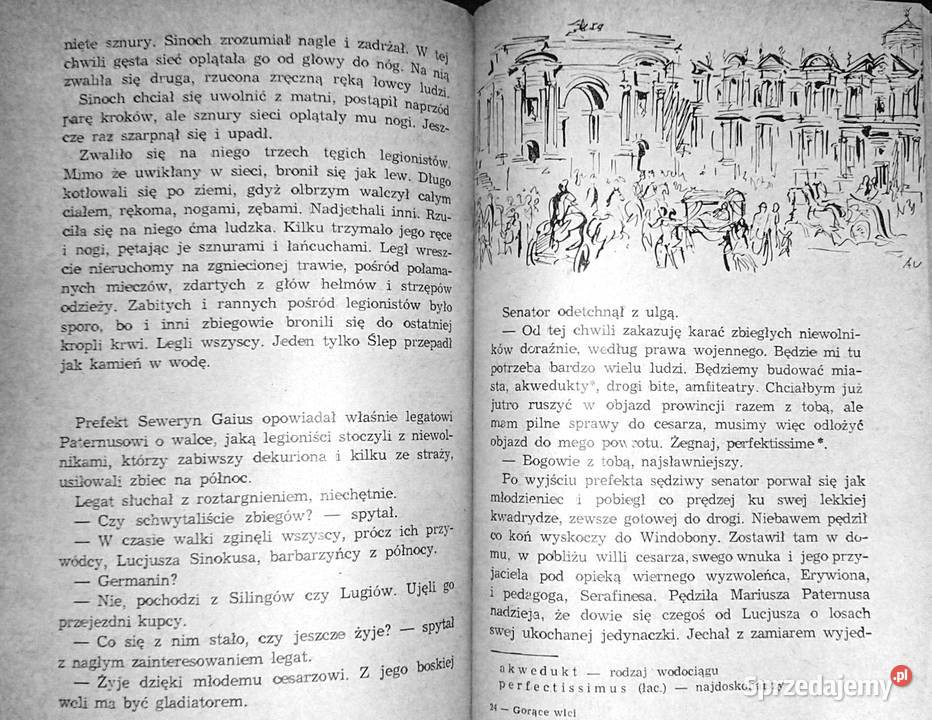 Gorące wici Janusz Teodor Dybowski