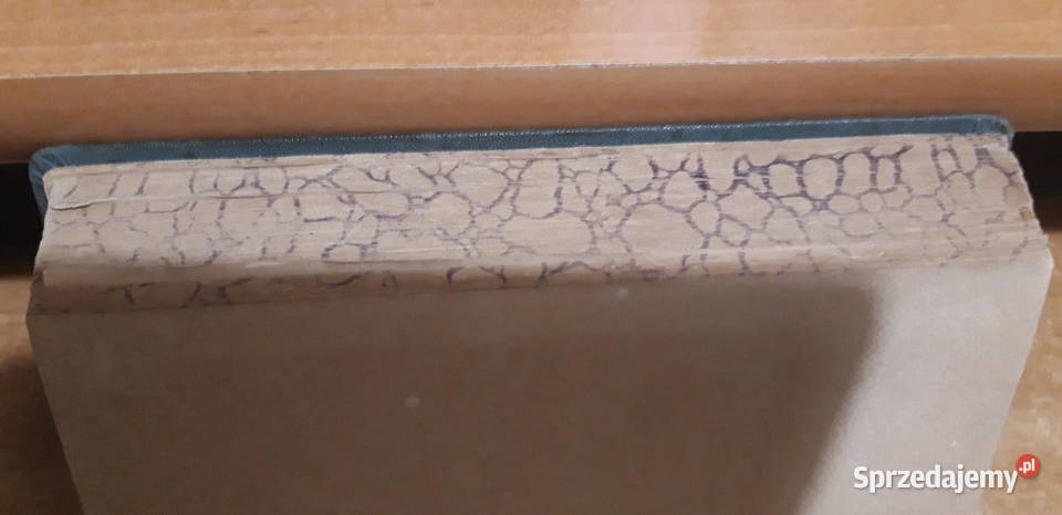 Wesoła teorya i smutna praktyka Orzeszkowa wielkopolskie