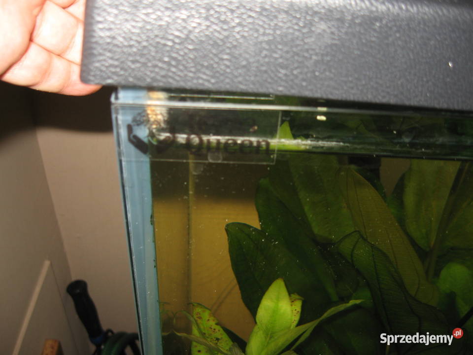 Akwarium 120x40x50m szkło 10mm Optiwhite Sosnowiec