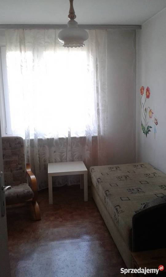 Bezpośrednio w centrum Kielc Romualda słoneczne świętokrzyskie Kielce