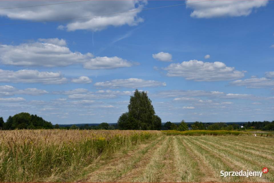 Działka rolna 43a Strażów Sprzedaż