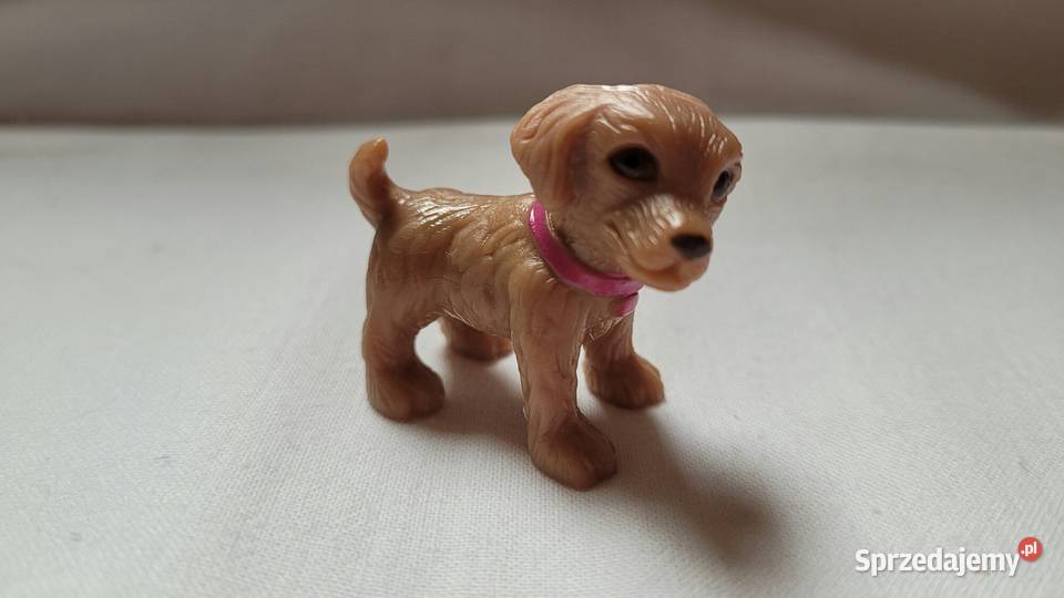 Nietuzinkowe Małe pieski do zabawy śląskie Piekary Śląskie