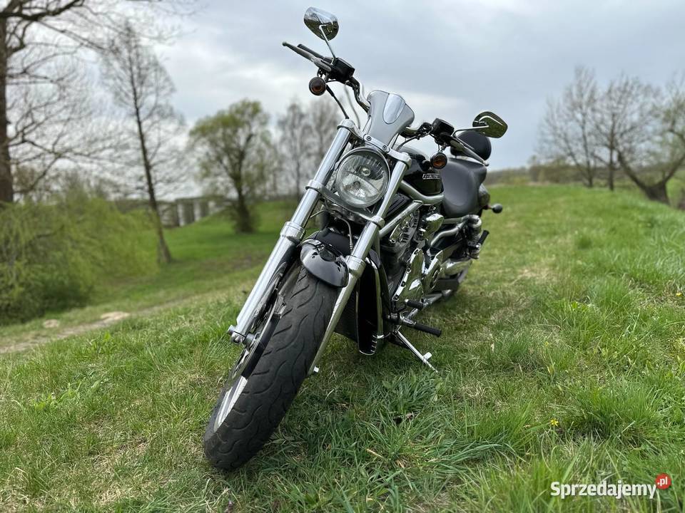 Harley Davidson Vrod Sulechów