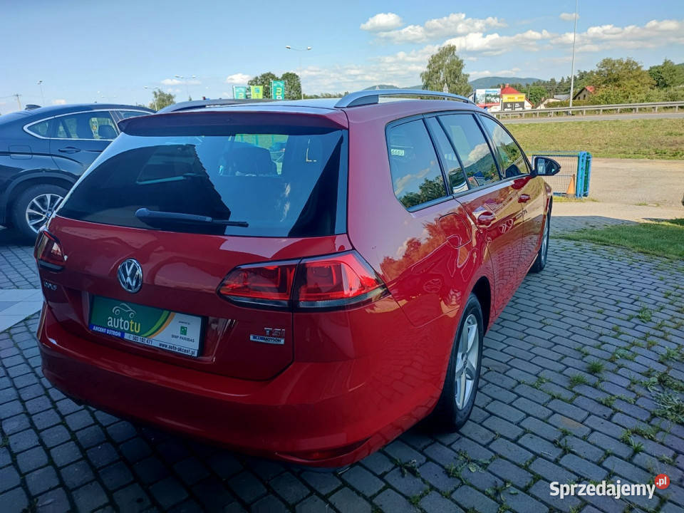 Volkswagen Golf Variant 14 TSI Allstar pełny podgrzewane fotele