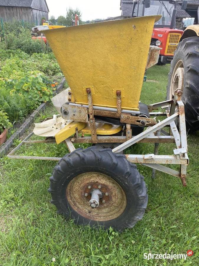 Rozsiewacz kos Szczecno