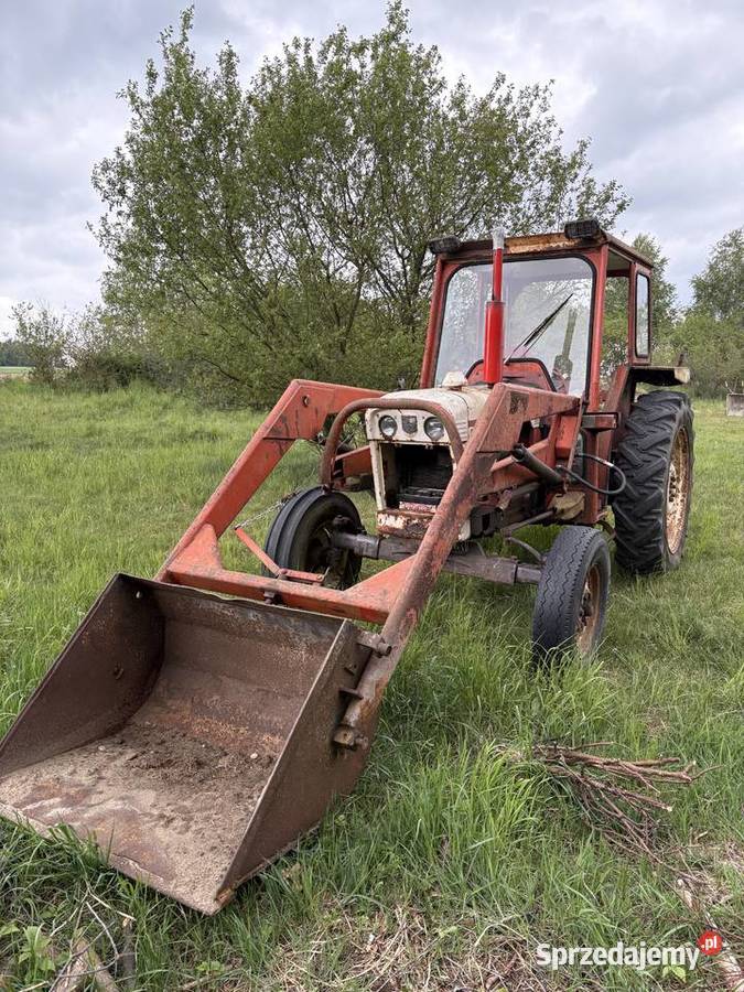 David Brown 885 Ostrzeszów