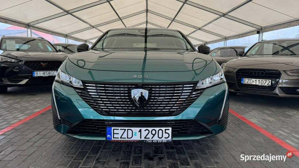 Peugeot 308 P5 2021 Kombi Zduńska Wola