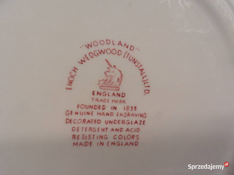 Talerz płytki obiadowy Enoch Wedgwood Anglia Raszków
