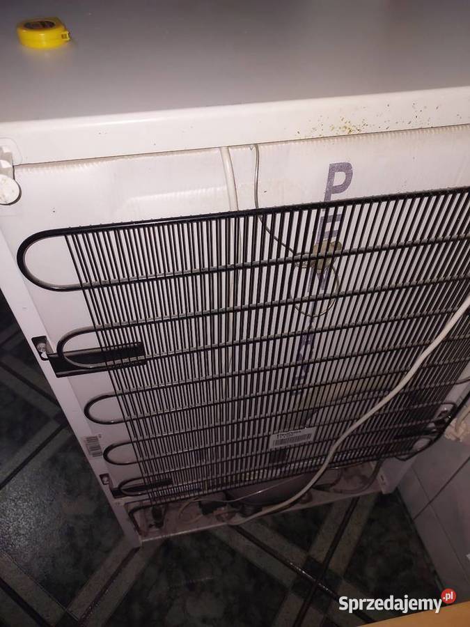 Zamrażalka szufladowa Rumia