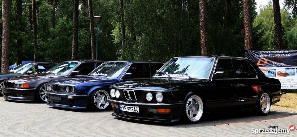 BMW e28 Gniezno