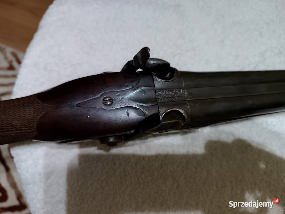 Dubeltówka czarnoprochowa