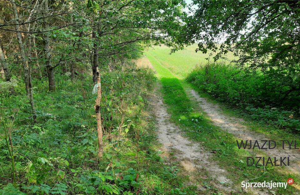 Kompleks działek 84ha z 8 WZ na Warmii Krekole sprzedam
