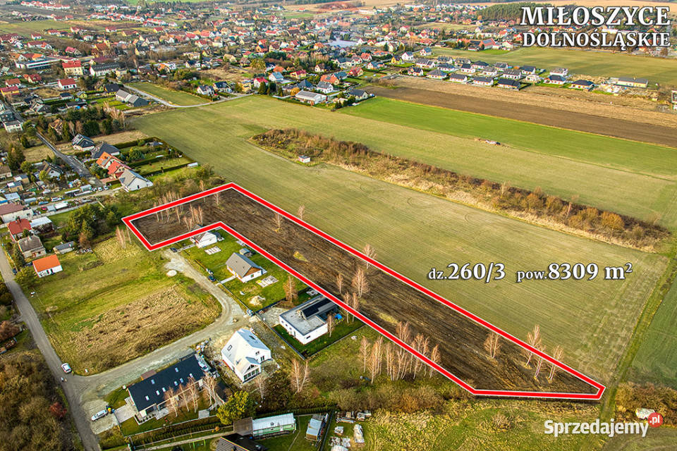 Inwestycja Twojego biznesu Dolny Śląsk Miłoszyce