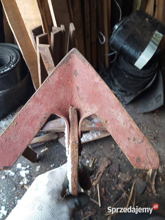 Gęsia stopka nieuszkodzony Mrocza