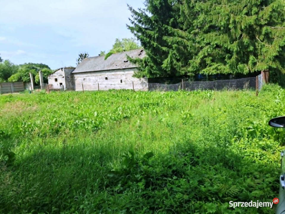 Działka budowlanorolna 11 800 m2 m2 w gm Stare Budy Radziejowskie sprzedam