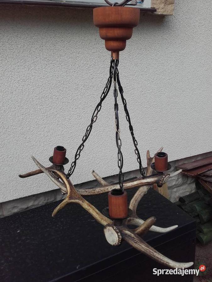 Piękny żyrandol z poroża Jelenia Oświetlenie Gniezno