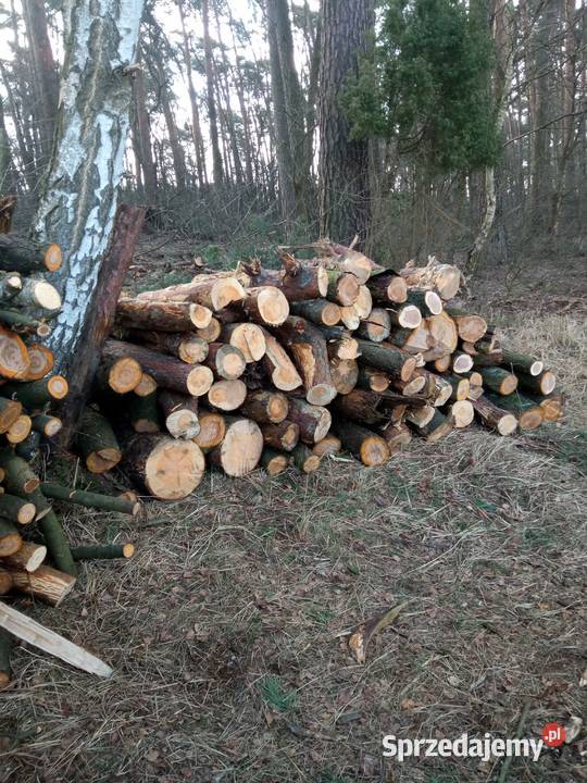 Drewno opałowe i kominkowe Włocławek