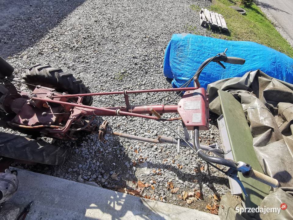 DZIK 21 Połom Duży