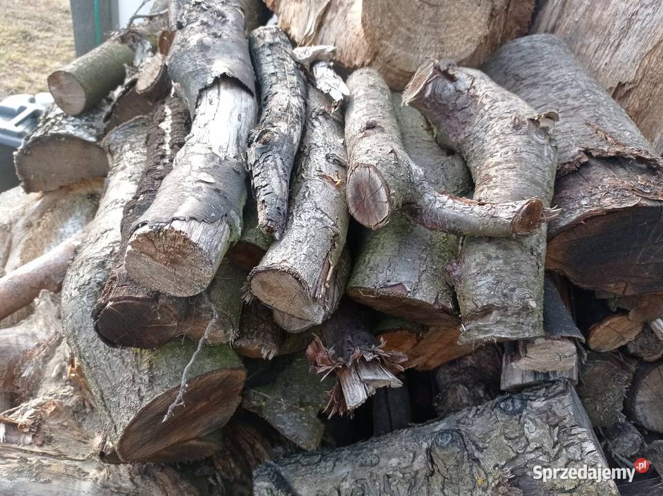 Sprzedam drzewo liściaste i sosnowe Kiełkowice