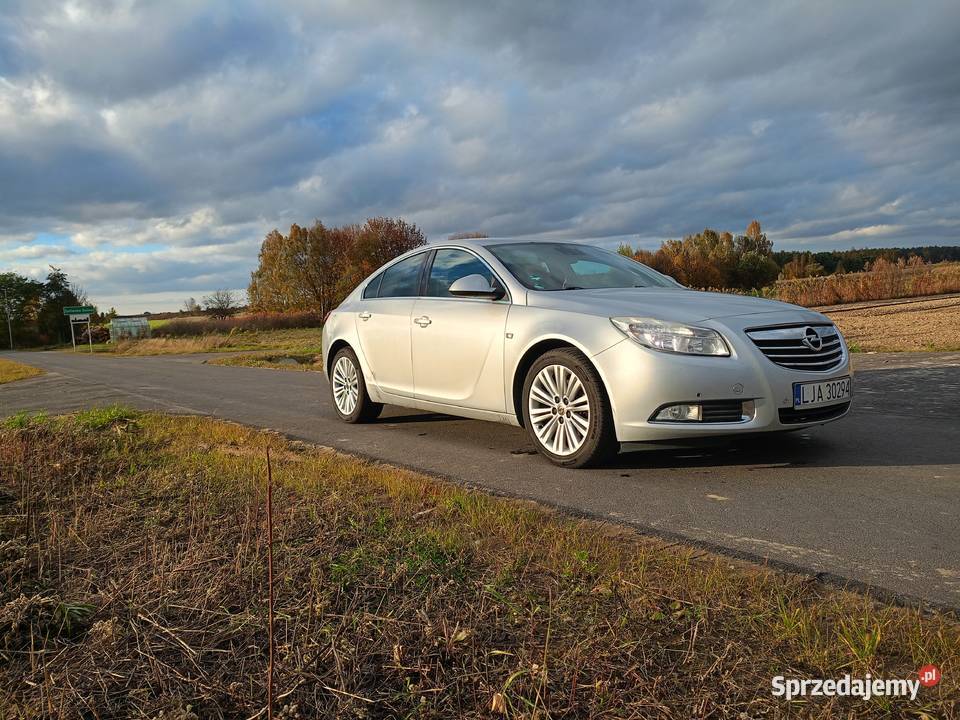 Opel Insignia 20cdti Insignia Janów Lubelski