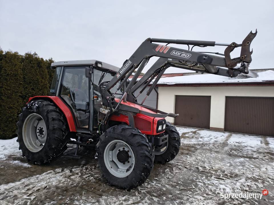 Massey Ferguson 4235 z ładowaczem Grabów Szlachecki