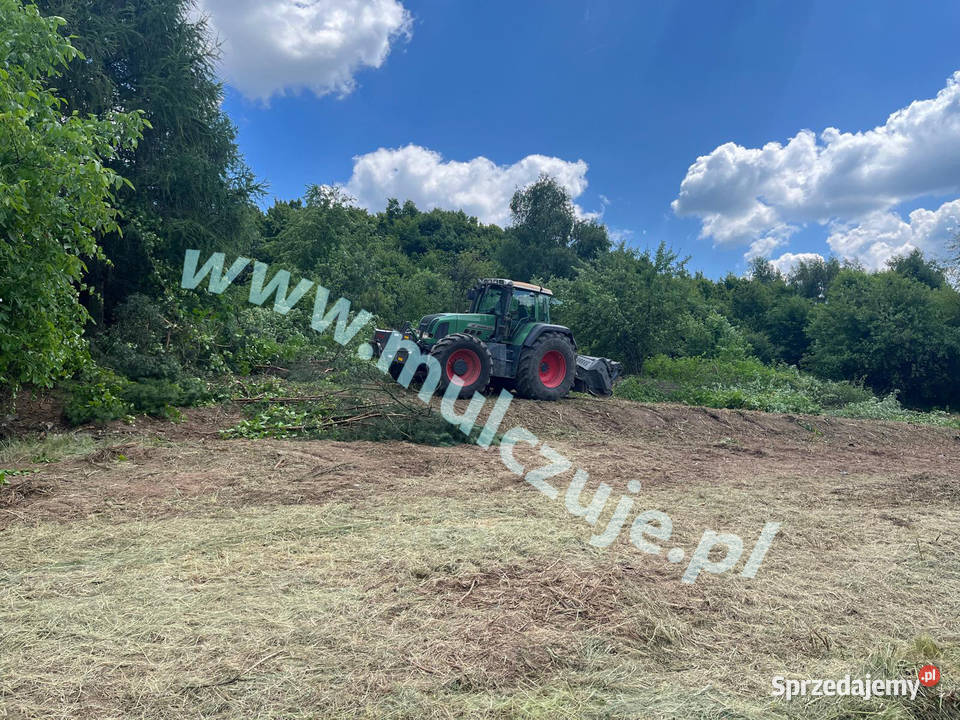 Wycinka drzew Mulczowanie Mulczer Karczowanie Karczowanie i usuwanie drzew Kraków