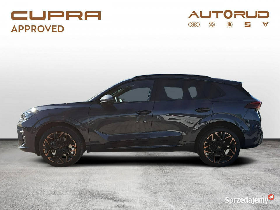 Cupra Terramar 20TSI 204 DSG 4x4 2025 1WŁ Salon sprzedam