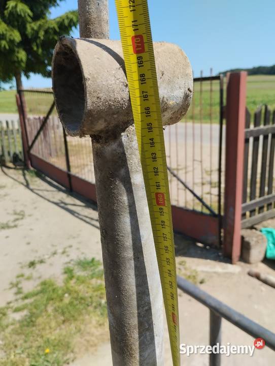 Stanowiska krów Zwierzęta Stare Łączyno