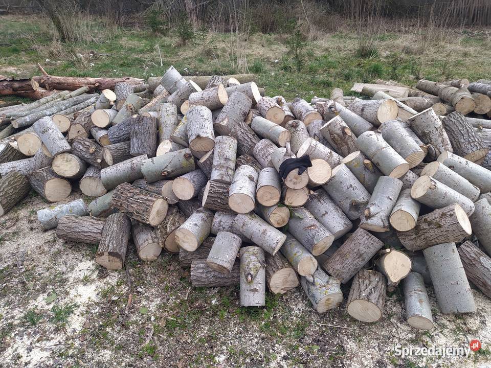 Drewnodrzewo opał rozpałka wiórka pomorskie Mortąg