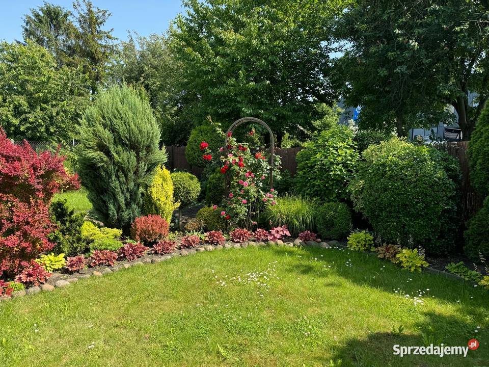 Ogrodek Dzialkowy ROD Jutrzenka Gliwice sprzedam
