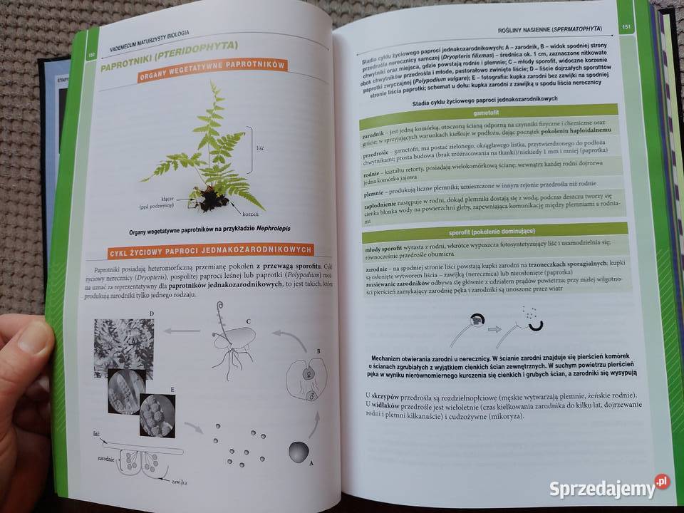 MATURA biologia vademecum Podręczniki