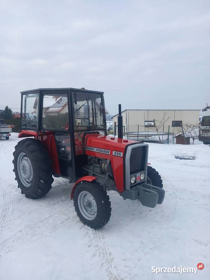 Massey ferguson 255 podkarpackie Pilzno