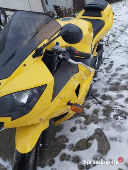 Triumph Daytona 600 nieuszkodzony Gaj