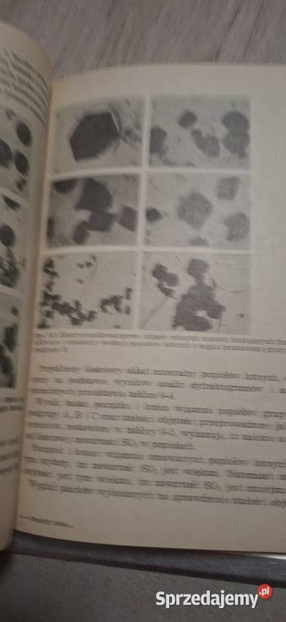 1 wydanie Popioły lotne w budownictwie drogowym Łęczyca sprzedam