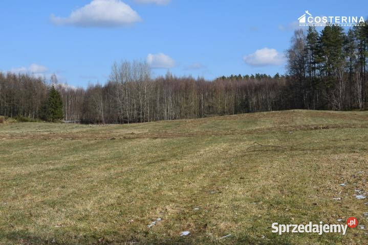 Grunt Bukowina 1159m2 pomorskie
