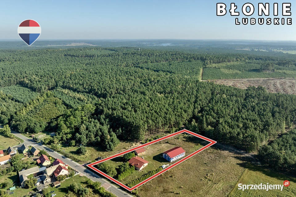 Dom parterowy wysoka hala garaże i pół hektara Rok budowy 2012 Błonie